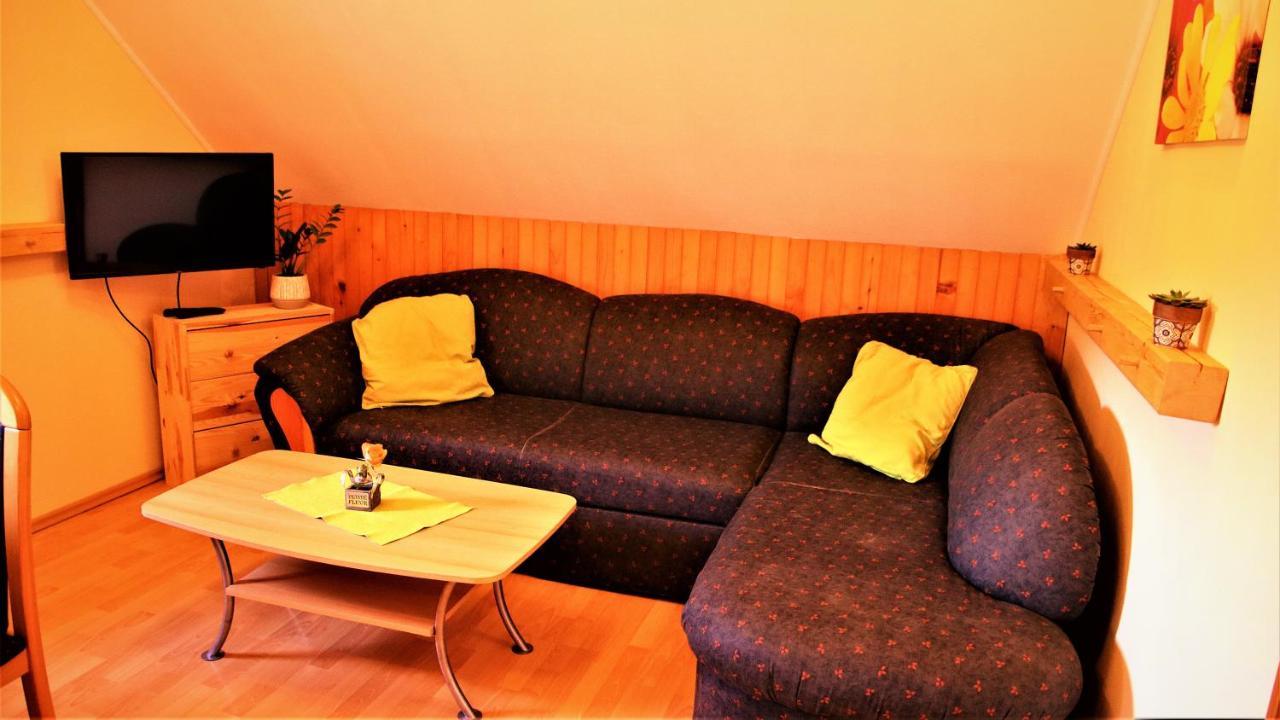 Apartment Rozika Slovenj Gradec Extérieur photo