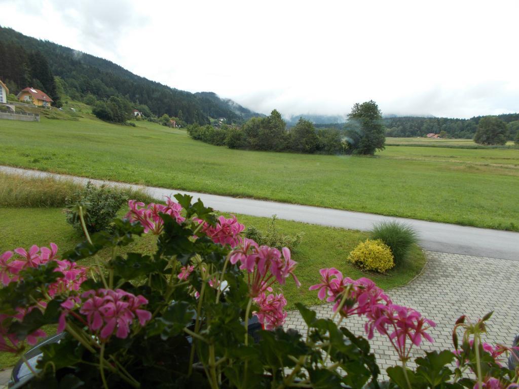 Apartment Rozika Slovenj Gradec Extérieur photo