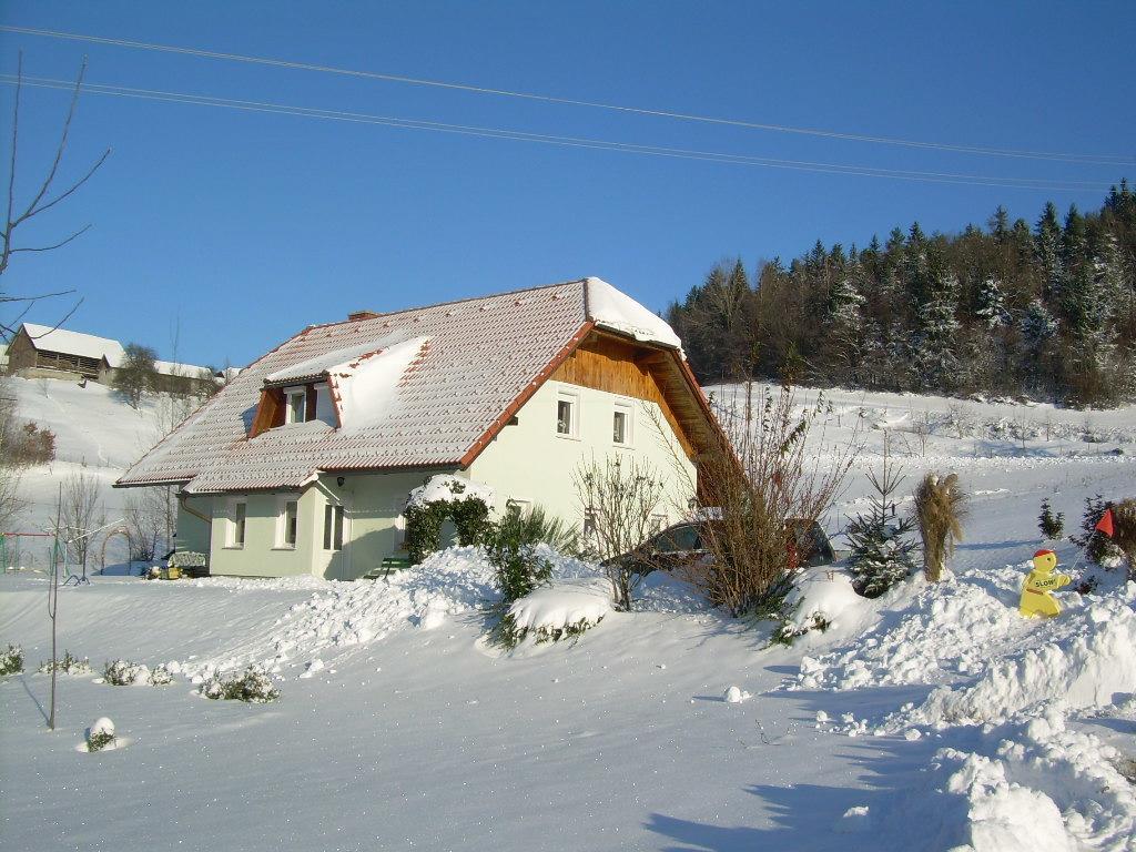 Apartment Rozika Slovenj Gradec Extérieur photo