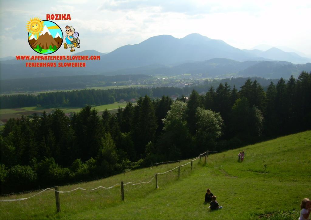 Apartment Rozika Slovenj Gradec Extérieur photo
